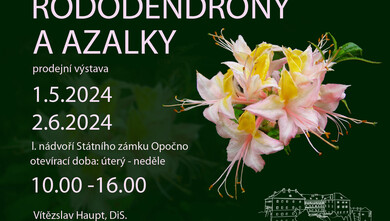 Plakát - Rododendrony a azalky