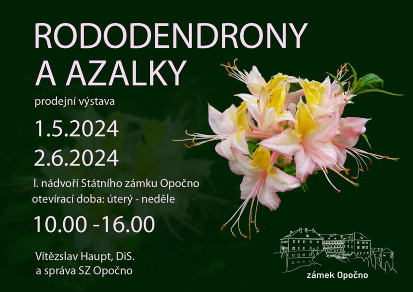 Plakát - Rododendrony a azalky